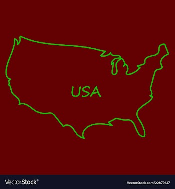 Usa map flag vector image