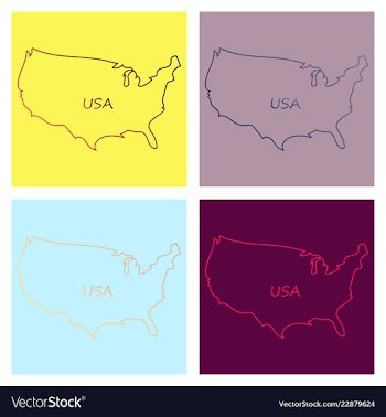 Usa map flag vector image