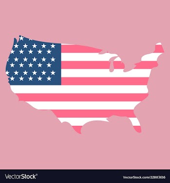 Usa map flag vector image