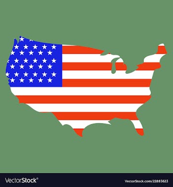 Usa map flag vector image