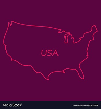 Usa map flag vector image