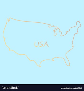 Usa map flag vector image