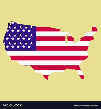 Usa map flag vector image