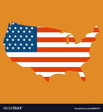 Usa map flag vector image