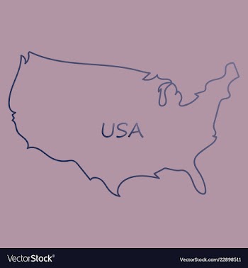 Usa map flag vector image