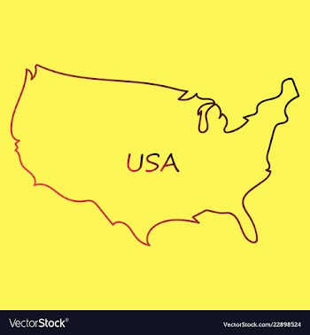 Usa map flag vector image
