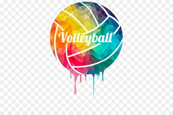 USA Volleyball Sport Cypress Springs High School Spalding - VOLEYBALL 