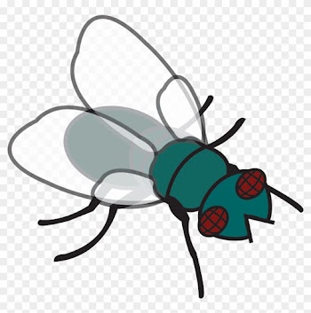 Using A Fly Swatter To Swat Flies During Small Group - Fly Clipart