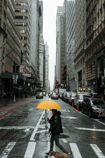 Usually if you see something yellow in NYC it's a taxi.