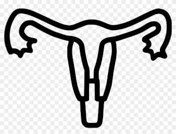 Uterus Human Body Part Medical Tube Uterine Comments - Uterus Human Body Part Medical Tube Uterine Comments