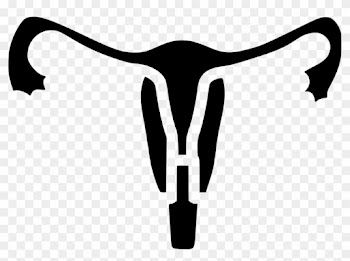 Uterus Human Body Part Medical Tube Uterine Comments - Uterus Human Body Part Medical Tube Uterine Comments