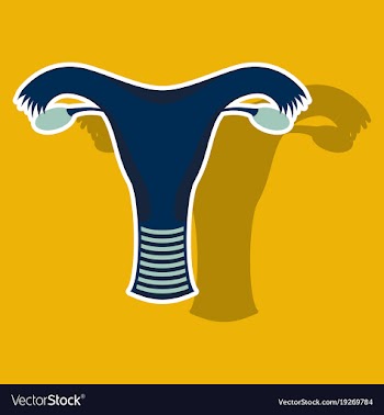 Uterus human internal organs sticker vector image
