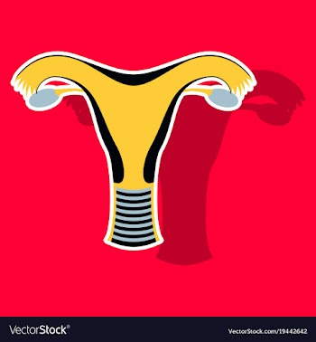 Uterus human internal organs sticker vector image