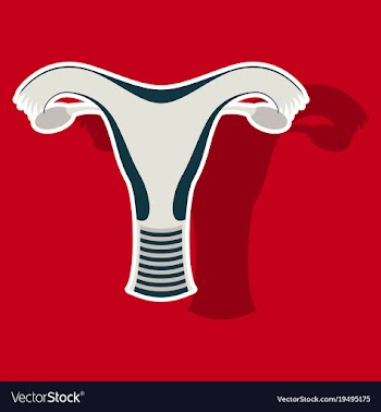 Uterus human internal organs sticker vector image