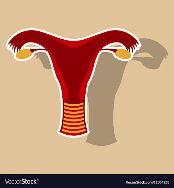 Uterus human internal organs sticker vector image