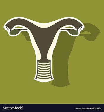 Uterus human internal organs sticker vector image