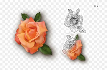 Utilización De La Malla De Degradado - Garden Roses