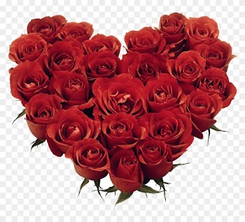 V Day Massage - Red Roses Pic Download