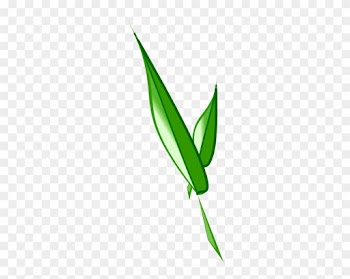 V Leaf Clip Art - Leaf