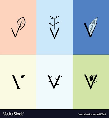 V leaf combination branch collection simple logo vector image