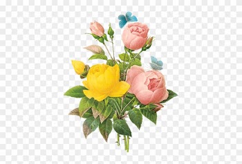 ,v2240720161754 ,part29,kablolar,kabel Png,kablo Png - Pierre Joseph Redoute Roses