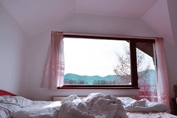 Vacant Bed in Room
