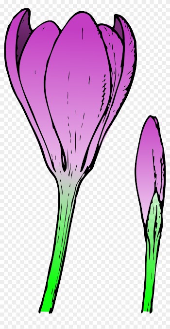 Vacant Clipart Hr Shenanigans Clipart - Crocus Flower