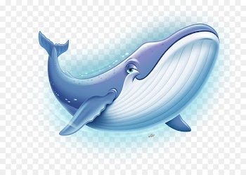 Vacation Bible School Clip art Ocean Portable Network Graphics - whale splash 