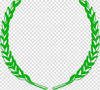 Vadodara S.B. Polytechnic K.J. Institute of Engineering & Technology Diploma College, Green garland frame transparent background PNG clipart