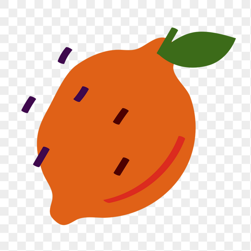 Valencia orange png fruit doodle | Free PNG - rawpixel