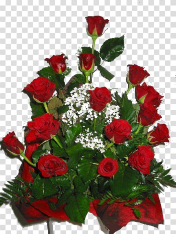 Valentine Day Flower PNG High-Quality Image