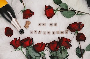 Valentine Roses And Champagne