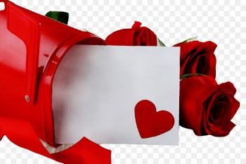 Valentine's day