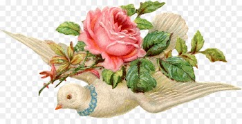 Valentine's Day Bird Paper - valentine's day 