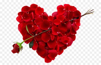 Valentine's Day February 14 Gift Holiday Love - valentine's day 