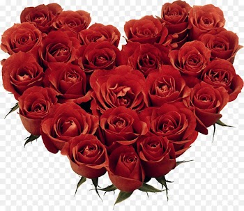 Valentine's Day February 14 Gift Holiday Romance - DIA DE LA MUJER 