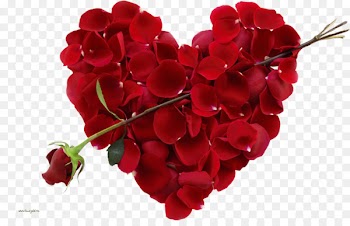 Valentine's Day February 14 Hallmark holiday Love - i love you 
