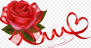 Valentine's Day Flower Rose Heart Gift - valentines vector 