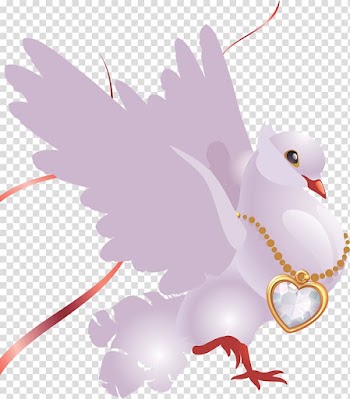 Valentine's Day Gift February 14 Love , swan transparent background PNG clipart