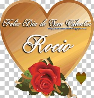 Valentine's Day Happiness Compadre Friendship Mother PNG, Clipart ...