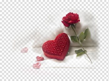 Valentine's Day Happiness Gift Propose Day Wish, Amour transparent background PNG clipart