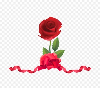 Valentine's Day Image Portable Network Graphics Beach rose Heart - valentines day 