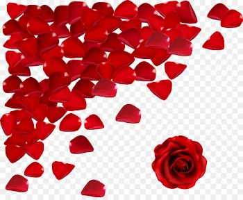 Valentine's Day Love Happiness Propose Day Wish - flower petals 