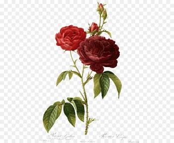 Valentine's Day Poetry Daughter Mother's Day - valentine's day 