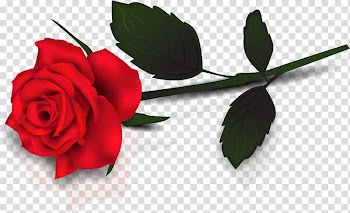 Valentine\'s Day Rose Flower Gift , roses transparent background PNG clipart