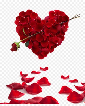 Valentine's Day Rose Greeting & Note Cards Heart Wish - ice axe 