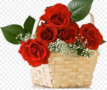 Valentine's Day Rose Propose Day Desktop Wallpaper - baby breath 