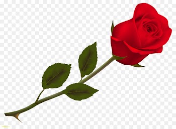 Valentine's Day Rose Propose Day SMS - picture 