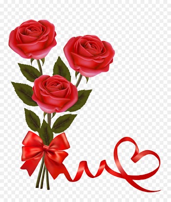 Valentine's Day Rose Red Heart - nice 