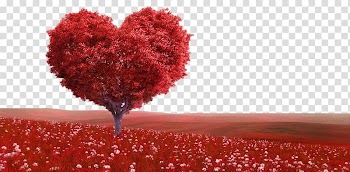 Valentine's day transparent background PNG clipart